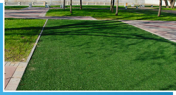 FL Turf Cleaning & Santizing Services