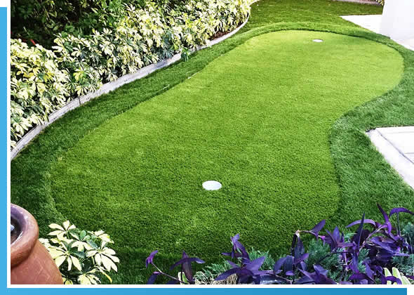 FL Turf Cleaning & Santizing Services